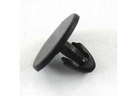 Luggage Carpet Agraf