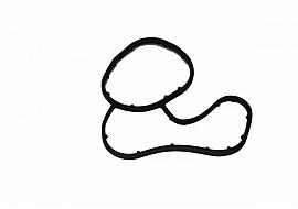 Oil Filter Base Gasket