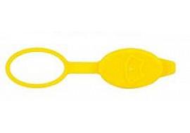Windshied Washer Tank Cap